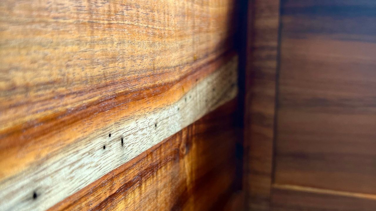 Close-up detail of solid koa wood grain inside a handcrafted Cajon from Kopf Percussion. The image shows the natural color variation and figure of the wood after sealing, highlighting the depth and texture that make koa one of the most distinctive tonewoods in the world.