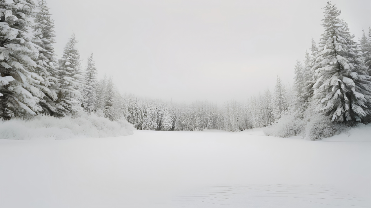 Changing northern woods landscape with snow and sunlight, reflecting the rhythm of seasons that inspire Kopf Percussion’s handcrafted drum-making philosophy.